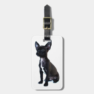 Chihuahua Luggage Tag