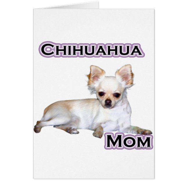 Chihuahua Maman 4 (Devant)