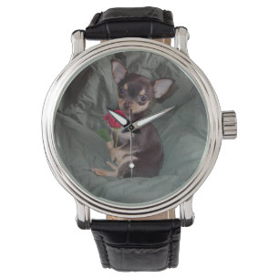 Chihuahua MerryRose Holding A Rose Watch