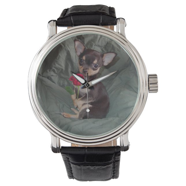 Chihuahua MerryRose Holding A Rose Watch (Front)