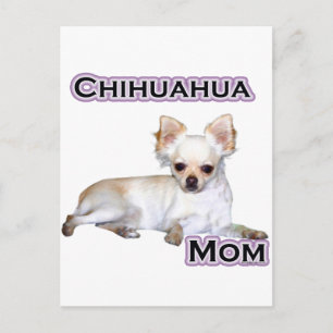 Chihuahua Mom 4 Postcard