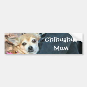 Chihuahua Mom Bumper sticker