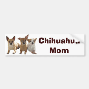 Chihuahua Mom Bumper Sticker