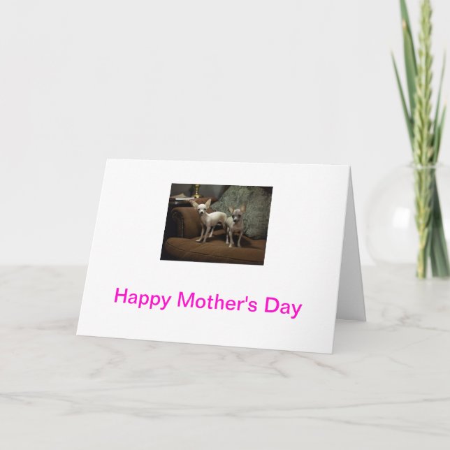 Chihuahua Mother's Day Card (Front)