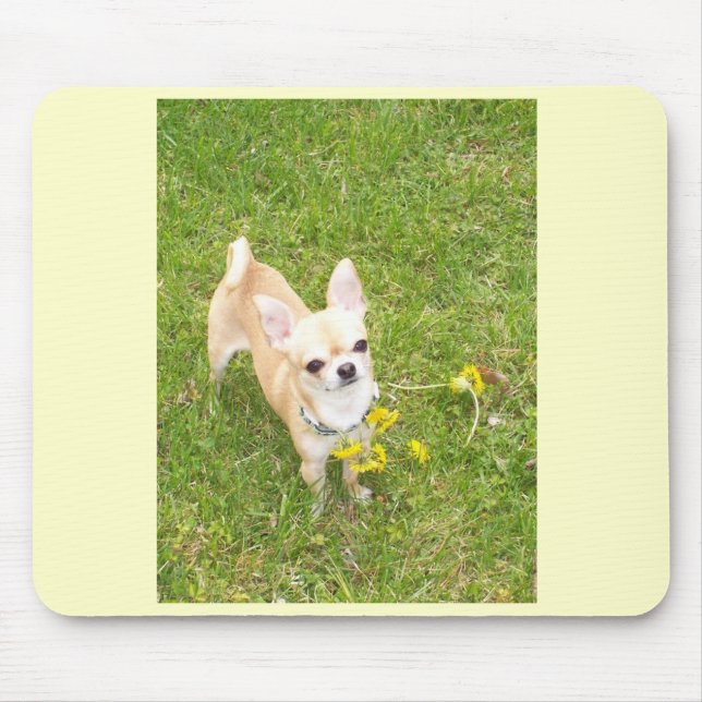 Chihuahua Mouse Pad (Front)