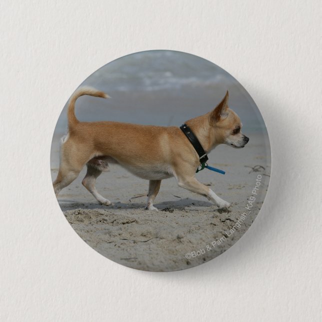 Chihuahua on Beach 2 Inch Round Button (Front)