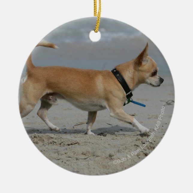 Chihuahua on Beach Ceramic Ornament (Front)