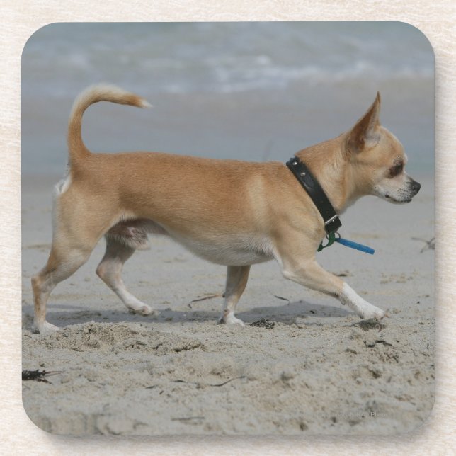 Chihuahua on Beach Coaster (Front)