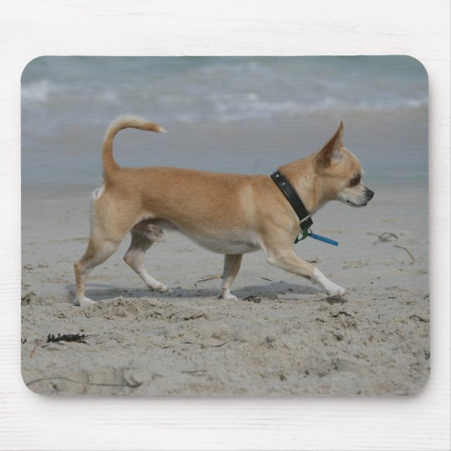 Chihuahua on Beach Mouse Pad (Front)
