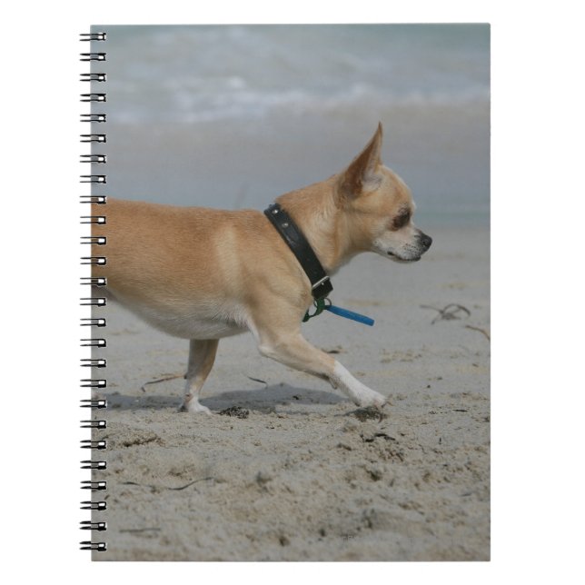 Chihuahua on Beach Notebook (Front)