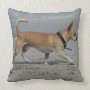 Chihuahua on Beach Throw Pillow