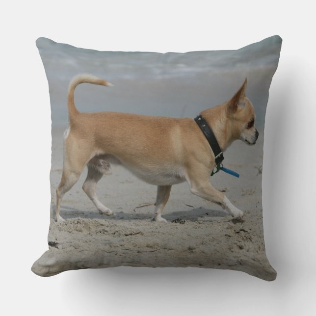 Chihuahua on Beach Throw Pillow (Front)