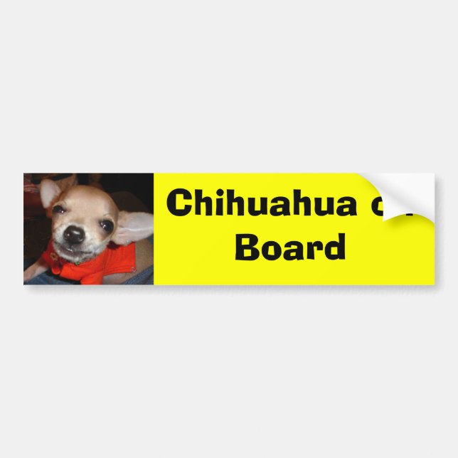 Chihuahua on Board Bumper Sticker (Front)
