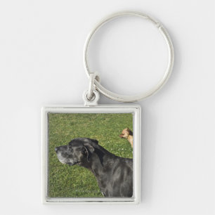 Chihuahua on Great Dane's back 2 Keychain
