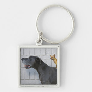 Chihuahua on Great Dane's back Keychain