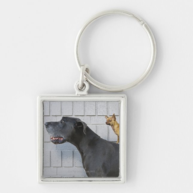 Chihuahua on Great Dane's back Keychain (Front)