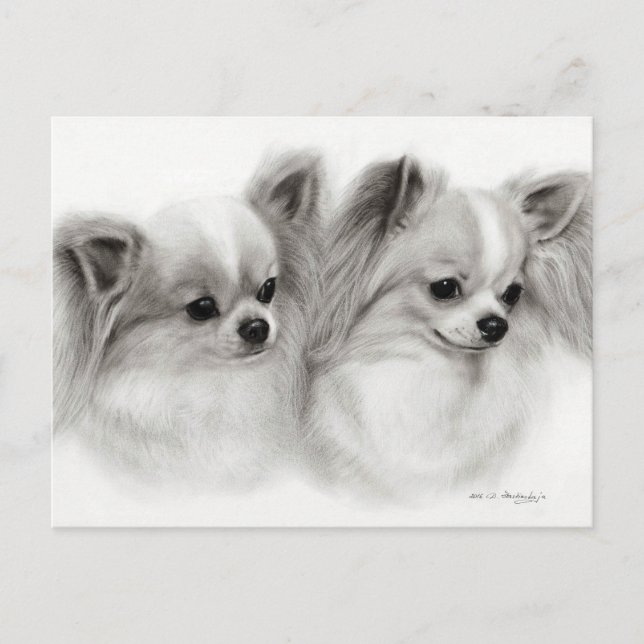 Chihuahua Pair Hand Painted Pet Portrait Postcard (Front)