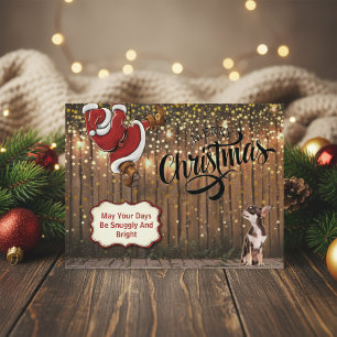 Chihuahua Père Noël Carte Postale Rustique de Noël