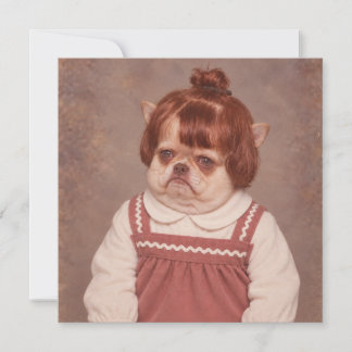 Chihuahua Picture Day T-Shirt