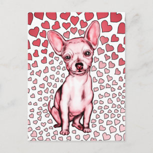 Chihuahua Pink Hearts Valentine's Day Holiday Postcard