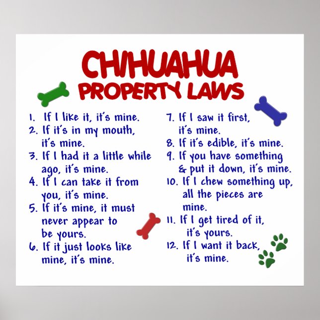 CHIHUAHUA PL2 POSTER (Front)