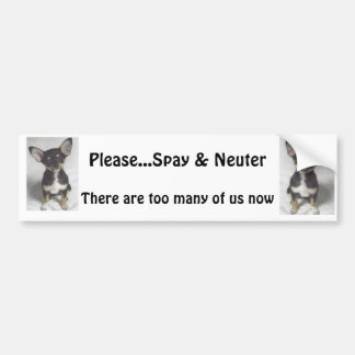 Chihuahua, Please Spay & Neuter Bumper Sticker