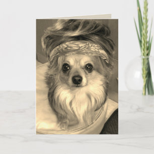 Chihuahua portant une perruque sur sepia Carte d'a