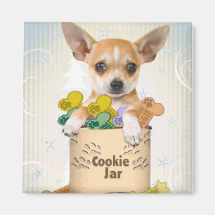 Chihuahua Posed with Cookie Jar Magnet