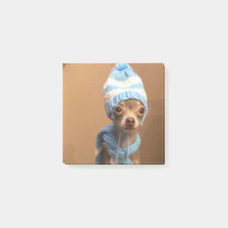 Chihuahua post-it notes