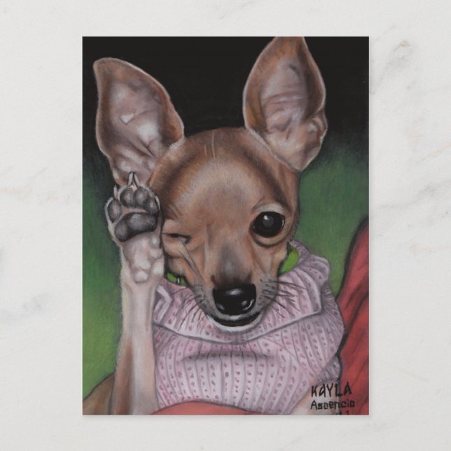Chihuahua Postcard (Front)