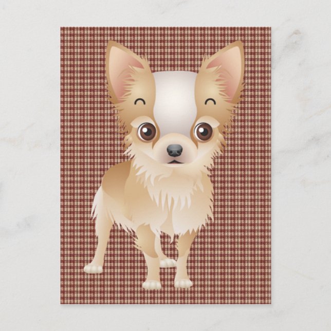 chihuahua postcard (Front)