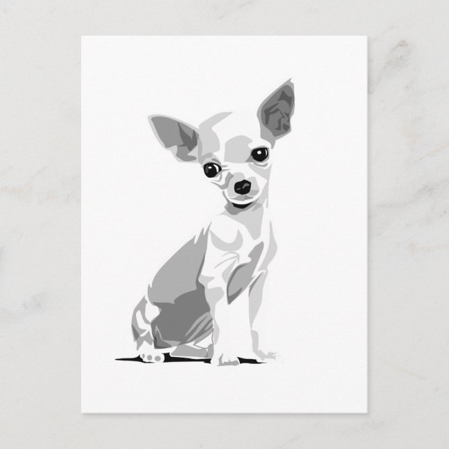 Chihuahua postcard (Front)