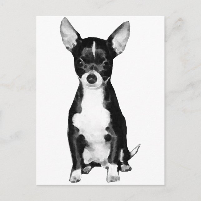 Chihuahua Postcard (Front)