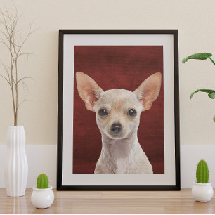 Chihuahua Poster
