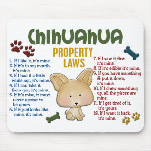 Chihuahua Property Laws 4 Mouse Pad