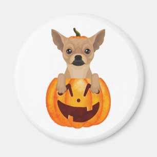 Chihuahua Pumpkin  Classic Round Sticker Magnet