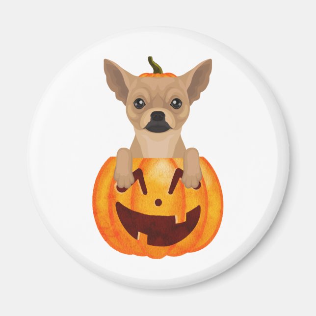 Chihuahua Pumpkin  Classic Round Sticker Magnet (Front)