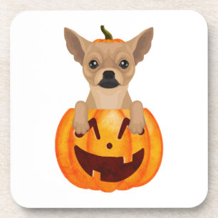 Chihuahua Pumpkin Coaster
