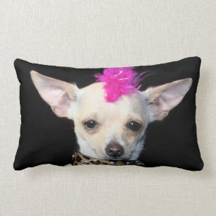 Chihuahua punk dog American Mojo lumbar  pillow