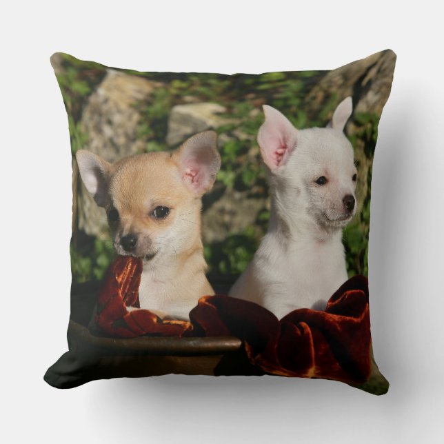 Chihuahua Puppies Throw Pillow (Front)