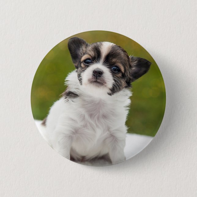 Chihuahua Puppy 2 Inch Round Button (Front)