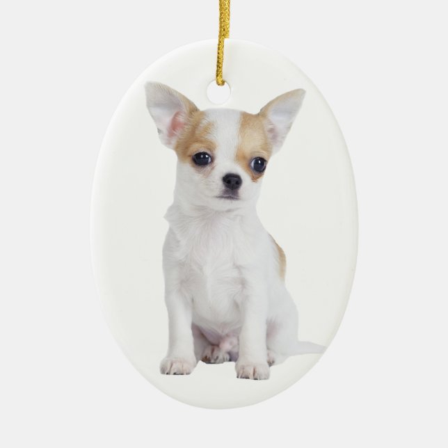 Chihuahua puppy ceramic ornament (Front)