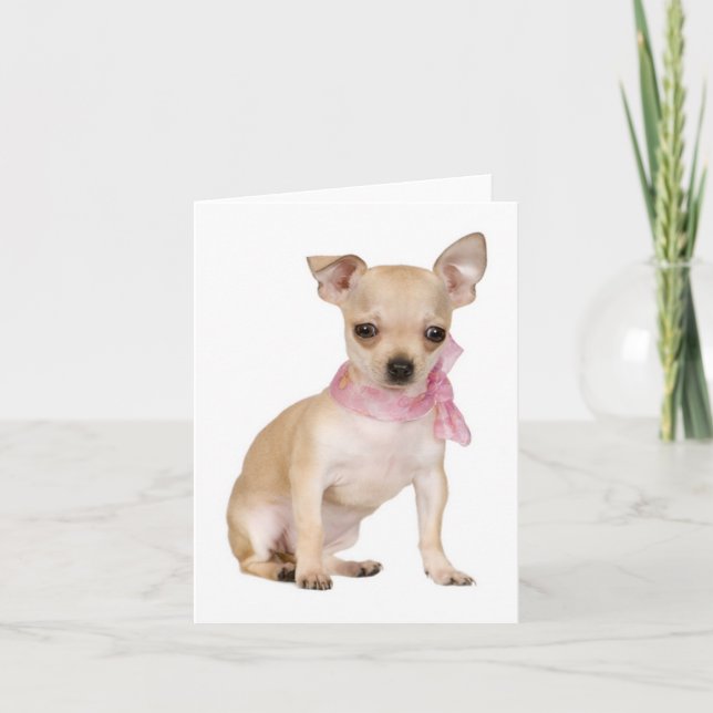 Chihuahua Puppy Dog Blank Note or Greeting Card (Front)