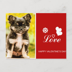 Chihuahua Puppy Dog Happy Valentine's Day postcard