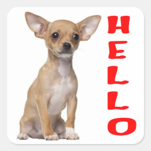 Chihuahua Puppy Dog Hello Stickers / Seals