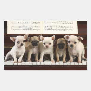 Chihuahua Puppy Dog On Piano ( Chewawa , Chiwawa ) Sticker