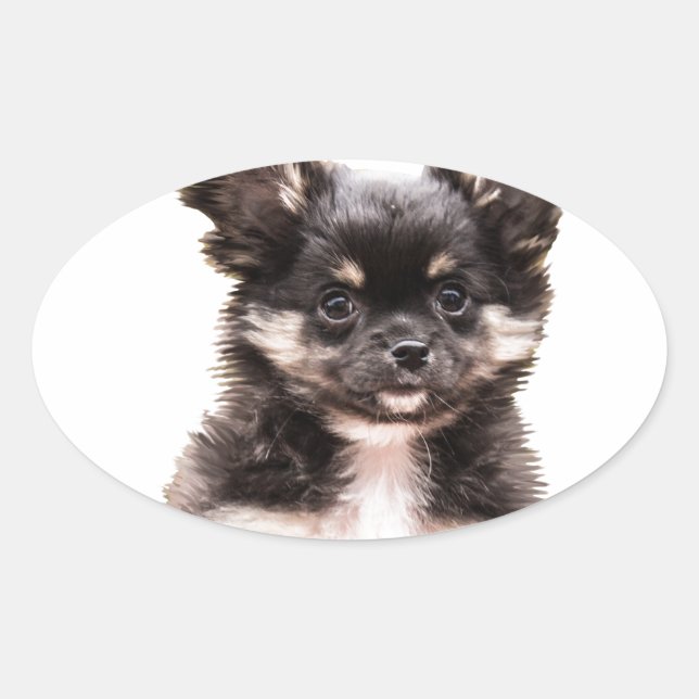 Chihuahua Puppy Dog Oval Sticker (Front)