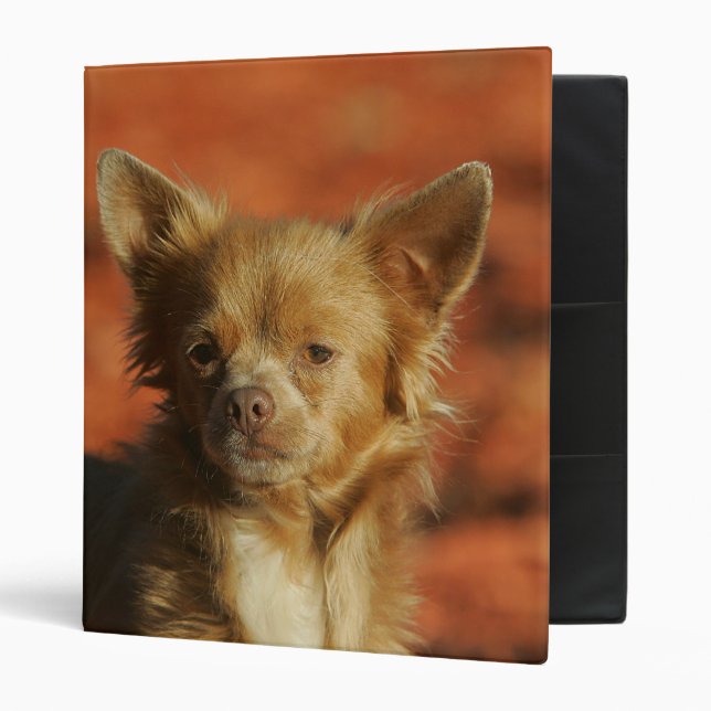 Chihuahua Puppy Headshot Binder (Front/Inside)