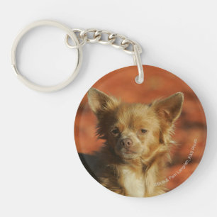 Chihuahua Puppy Headshot Keychain