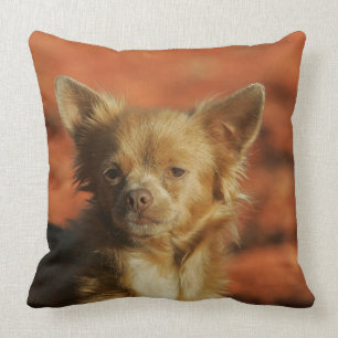 Chihuahua Puppy Headshot Throw Pillow